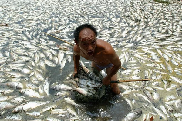 Ô nhiễm môi trường