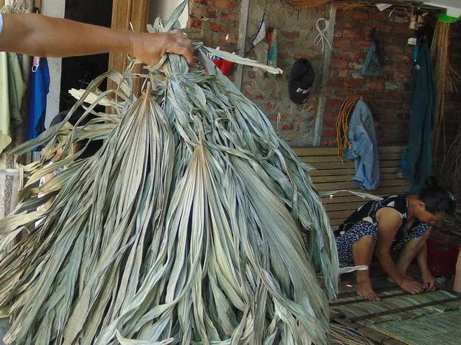 Làng chuyên làm áo tơi