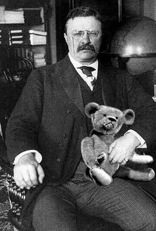 Teddy Bear