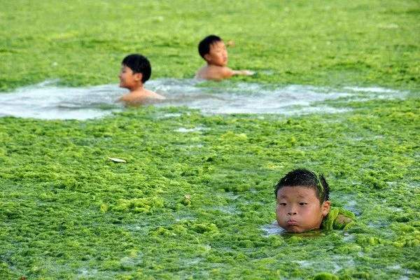 Lãng phí nước