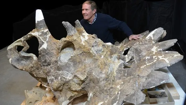Regaliceratops peterhewsi