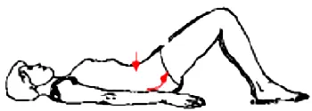 Bài tập cho xương chậu