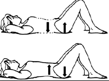 Bài tập cột sống