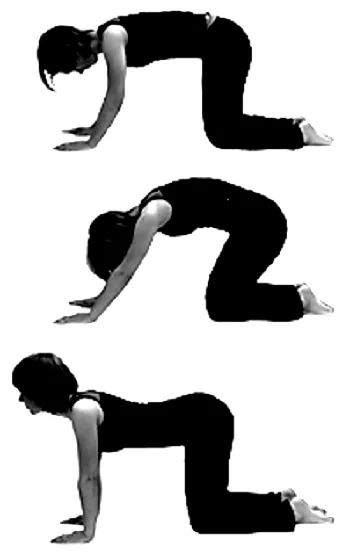 Di động cột sống.