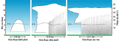 Các giai đoạn hình thành cơn giông