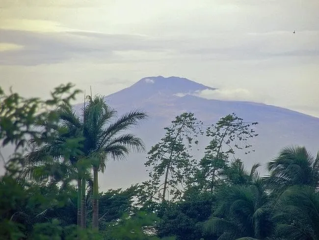 Debundscha, châu Phi
