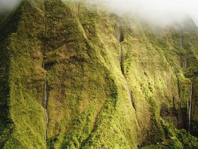 Mt. Waialeale, Oceania
