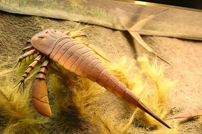 Bọ cạp biển Jaekelopterus