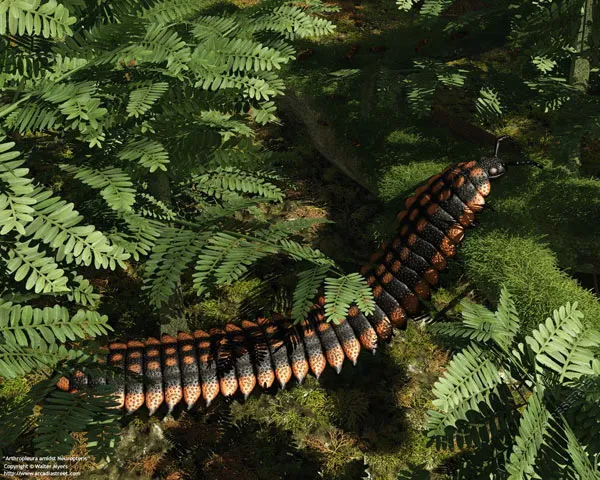 Arthropleura