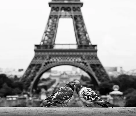 Nụ hôn ướt át dưới chân tháp Eiffel