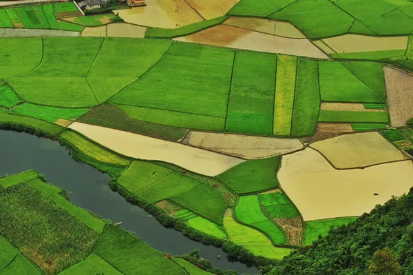 Thiên nhiên Việt Nam