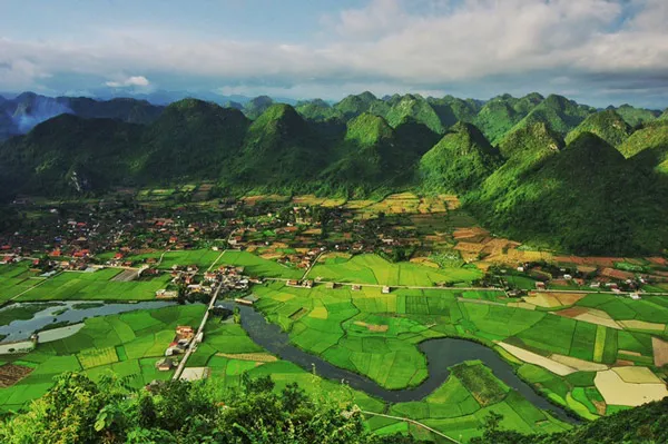 Đặc điểm của lúa Bắc Sơn là các ruộng trồng không cùng thời điểm