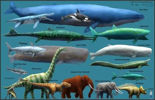 Siêu cá mập Megalodon