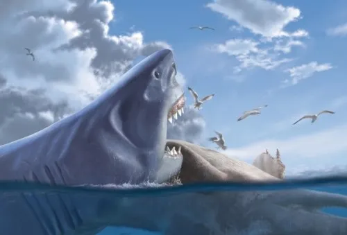 Megalodon là hung thần biển cả