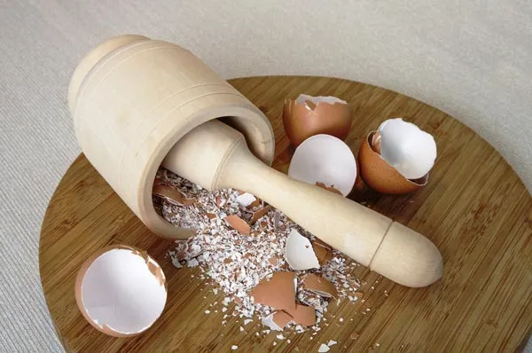 Bạn cũng có thể sử dụng bột vỏ trứng này cho chim ăn.