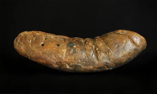 Phân khủng long
