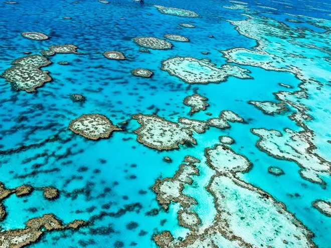 Great Barrier Reef, Australia