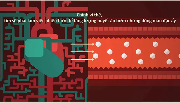 Dòng máu