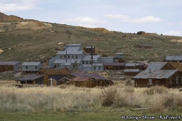 Bodie