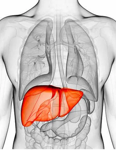 Ngáp ngủ quá nhiều không phải chuyện đơn giản
