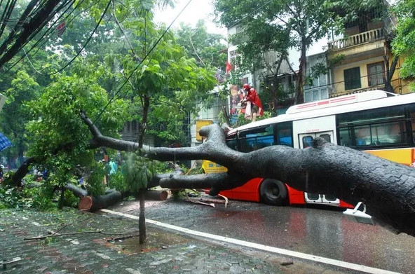 Những việc "buộc phải nhớ" khi ra ngoài ngày mưa bão