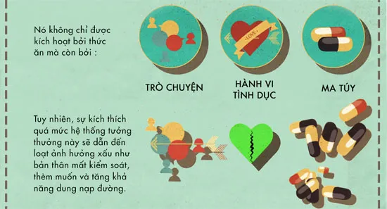 Đường tác động đến não bộ như thế nào?
