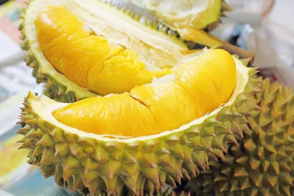 Nguồn gốc mùi hương độc đáo của quả sầu riêng từ đâu mà có?