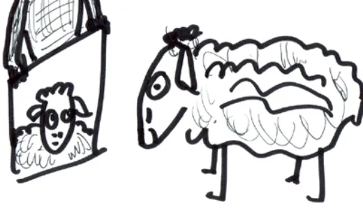 Cừu