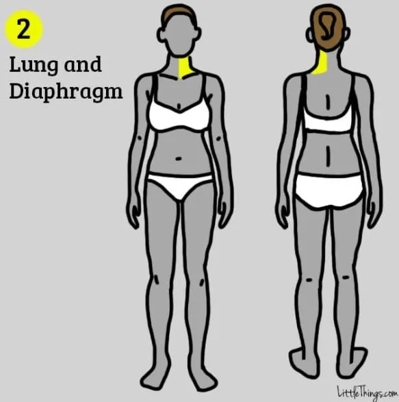 9 nhóm bệnh có thể được phát hiện nhờ vị trí các cơn đau