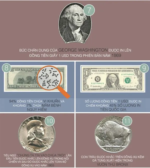 33 sự thật thú vị của đồng tiền quyền lực USD