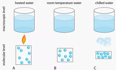5 siêu năng lực "quái dị" của cơ thể mà bạn chưa bao giờ nhận ra
