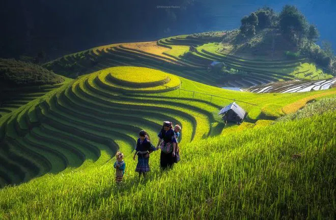Ruộng bậc thang