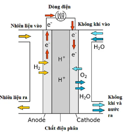 Cách sống sót qua thảm họa hạt nhân