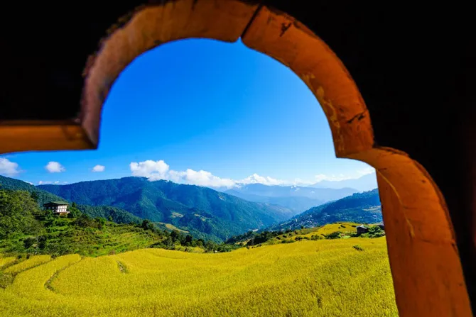 Thung lũng Punakha vào mùa lúa chín.
