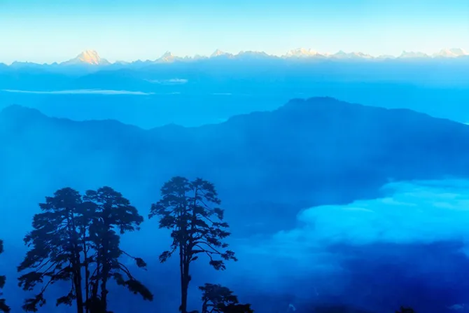 Dải núi tuyết Himalaya rực sắc mặt trời khi bình minh lên quanh khu rừng thông cổ thụ trên đèo Dochula.