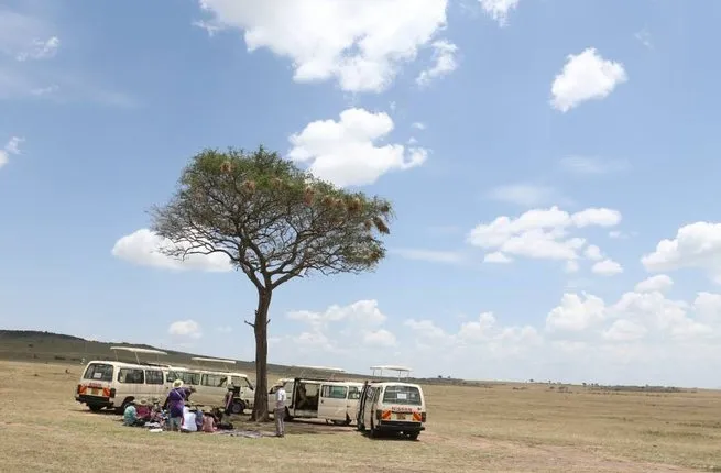 Cuộc chiến sinh tồn trên đồng cỏ Kenya