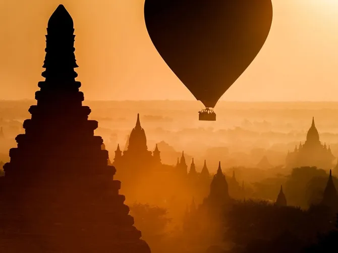 Đàn gia súc đang di chuyển trong băng tuyết.