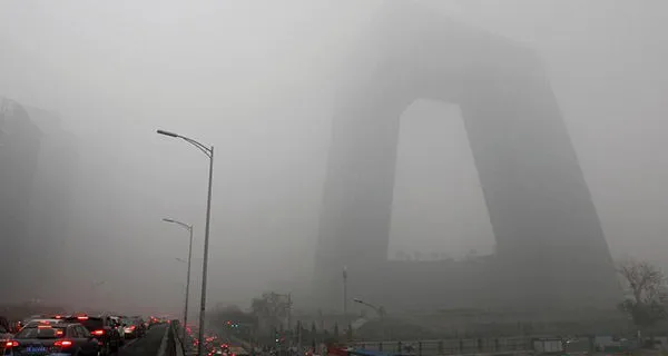 Loài cỏ có thể là niêu Thạch Sanh hút CO2