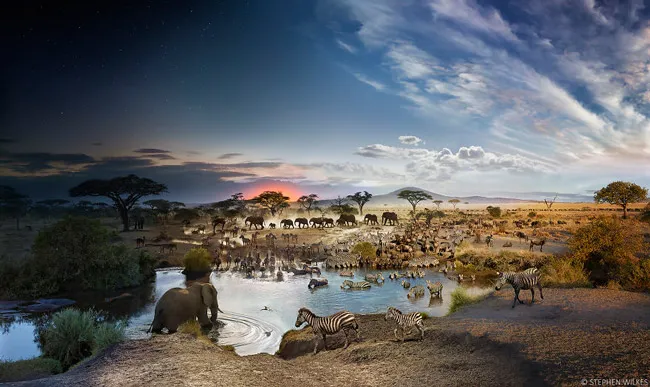 Công viên quốc gia Serengeti ở Tanzania, một quốc gia độc lập ở phía đông châu Phi.