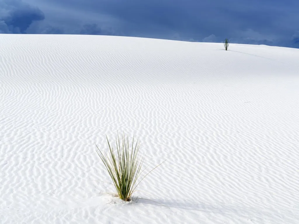 New Mexico