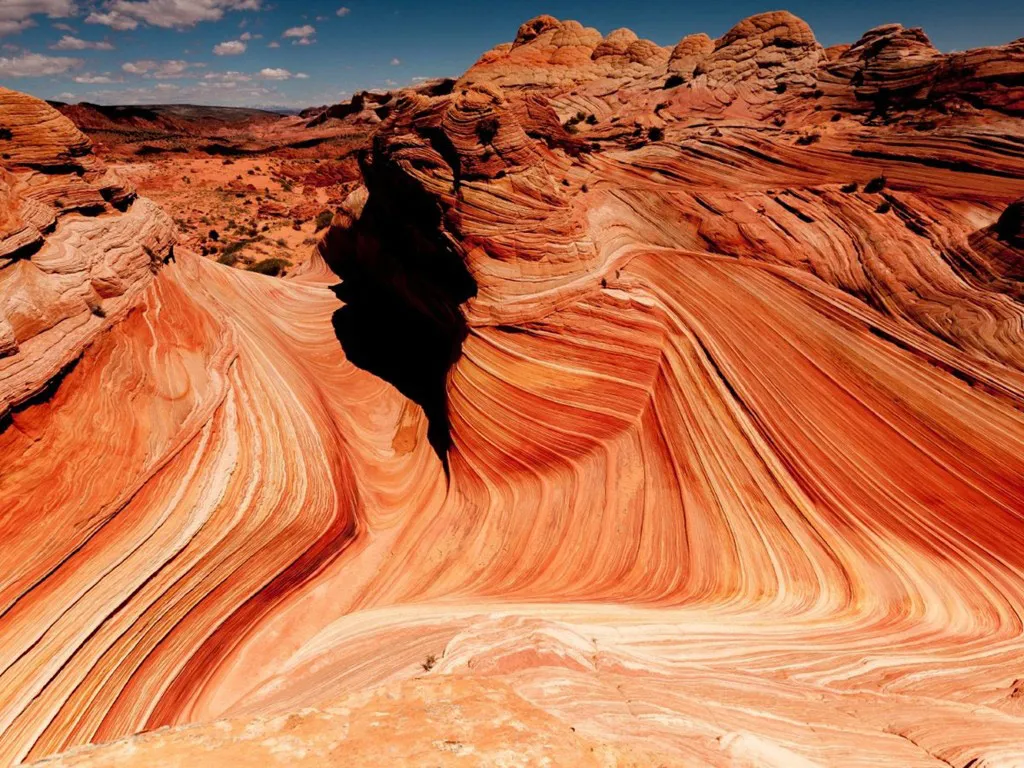 Arizona