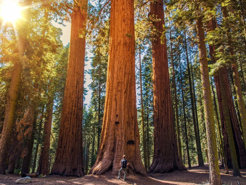 California