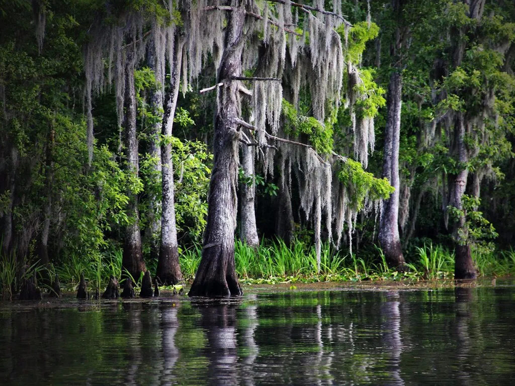 Louisiana
