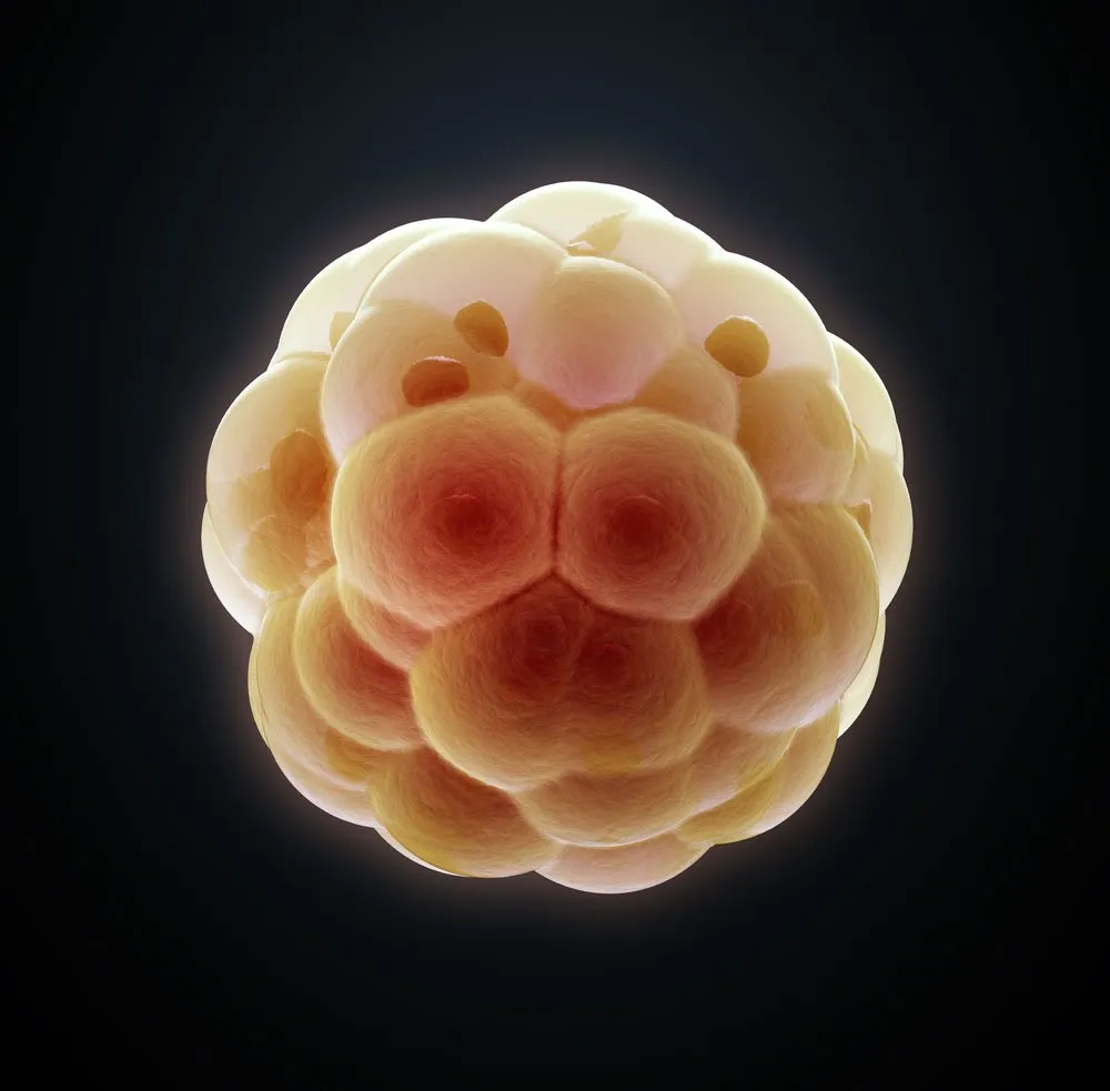 Công nghệ chỉnh sửa gene CRISPR là bước đột phá trong kỹ thuật chỉnh sửa gene năm nay.
