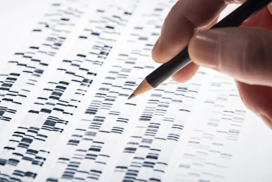 Bản đồ cơ chế di truyền biểu sinh (epigenome).