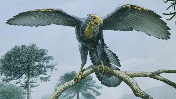 Archaeopteryx.