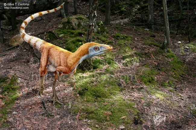 Sinosauropteryx.