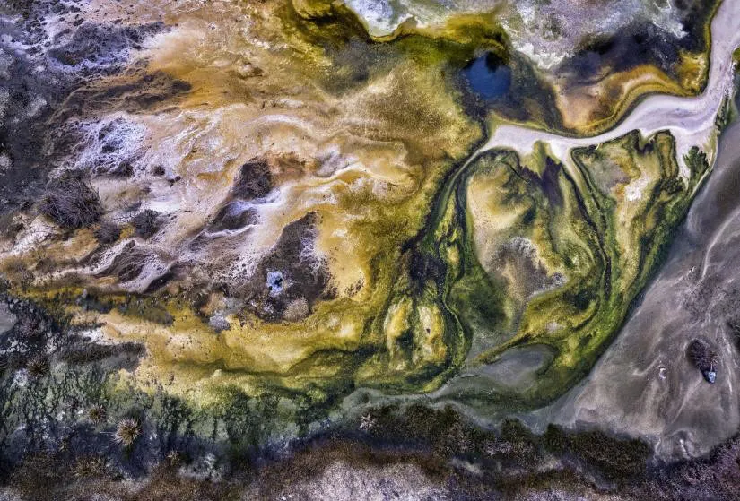 Tảo và cảnh quan địa nhiệt ở thung lũng núi lửa gần Rororua, New Zealand.