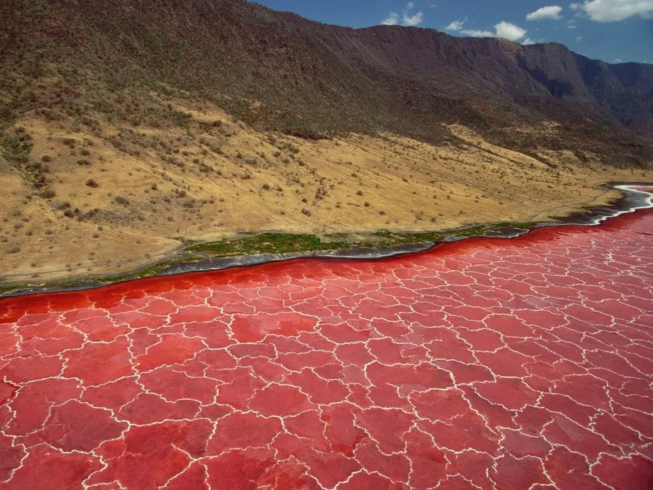 Hồ Natron, Monduli, Tanzania