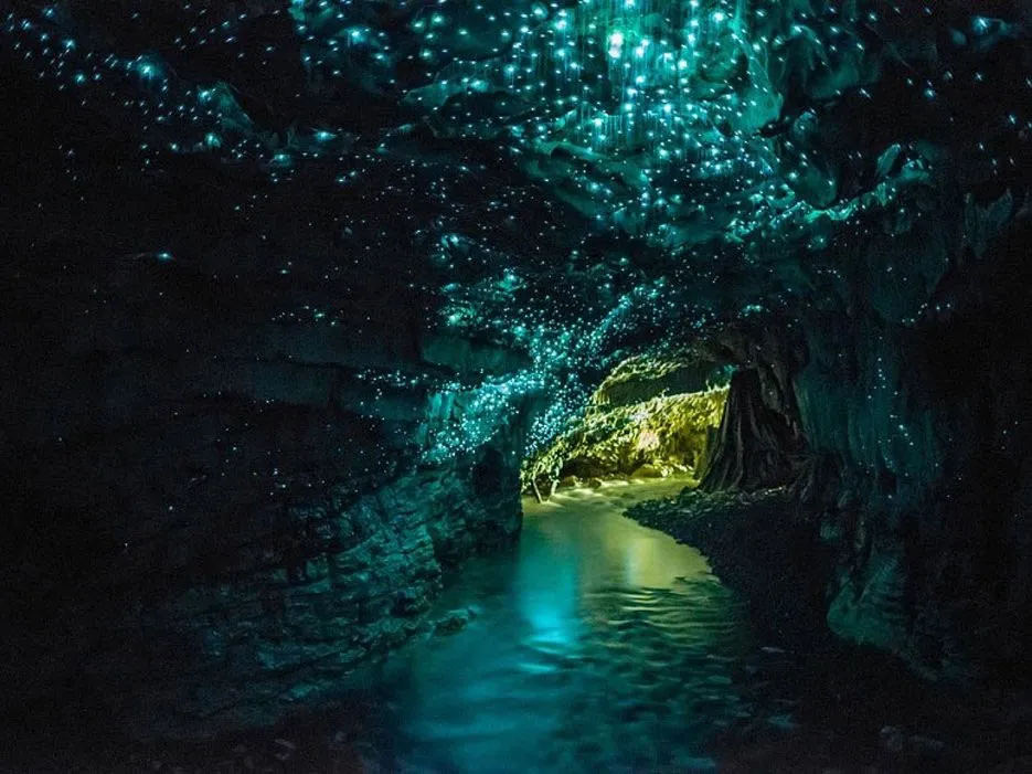 Hang đom đóm, Waitomo, New Zealand